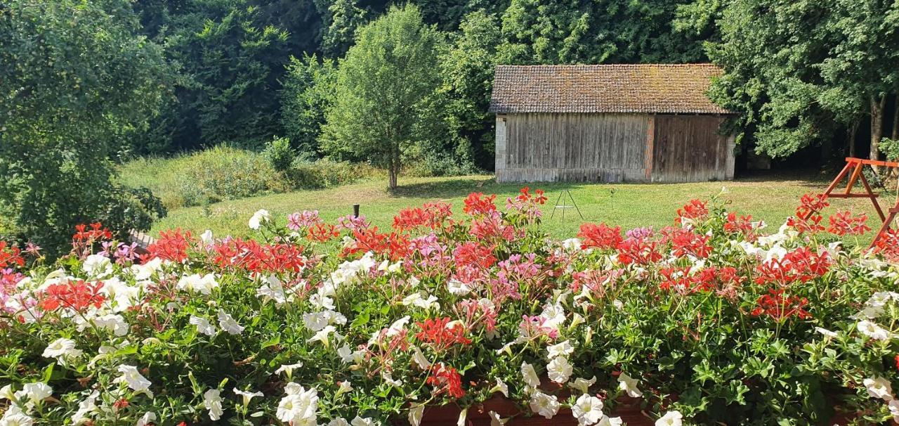 Gasthaus Zum Schneider Pottenstein Ngoại thất bức ảnh